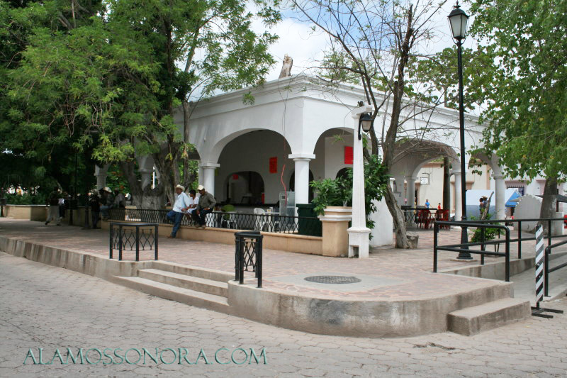 alamos plaza alameda